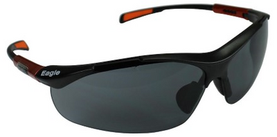 SKYDDSGLASÖGON WORKSAFE EAGLE