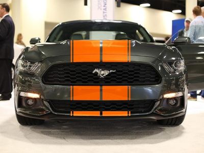 Orange Stripes - Premium