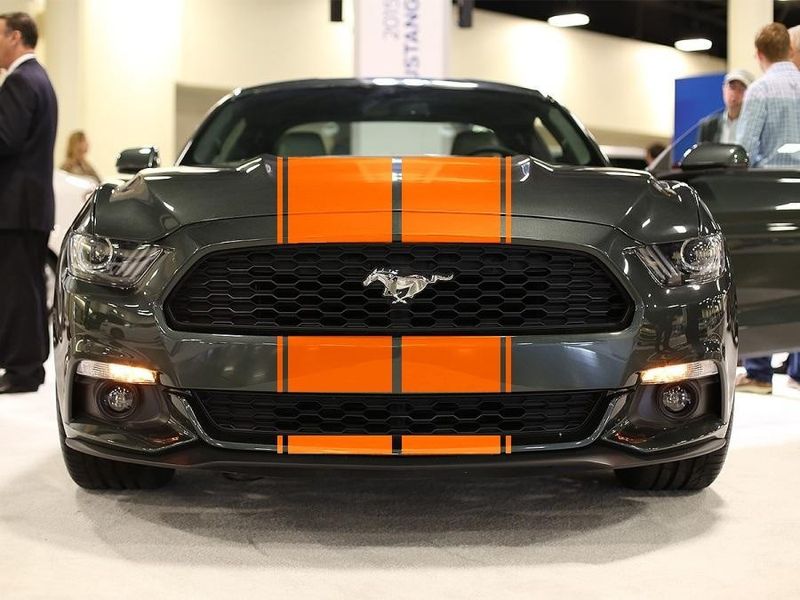 Orange Stripes - Premium