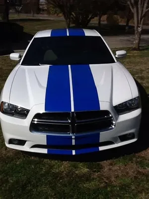 Mörkblå Stripes - Premium