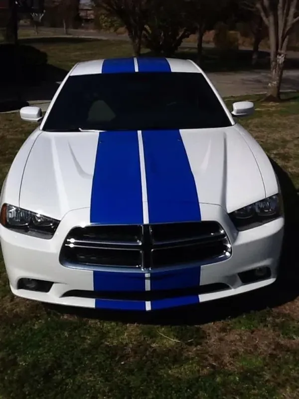 Mörkblå Stripes - Premium