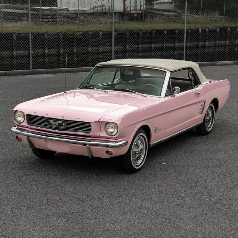 TeckWrap CG19-HD Millennial Pink