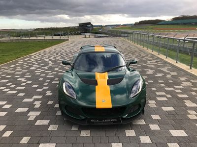Gul Stripes - Premium