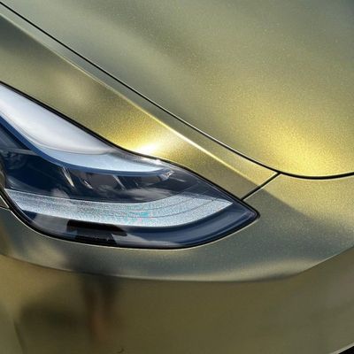 TeckWrap HM09 Greenfinch Gold