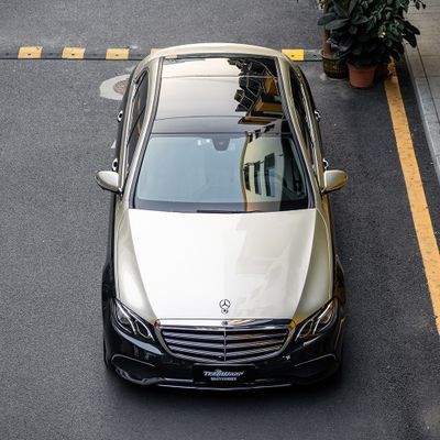 TeckWrap RB31-HD Silver Fern