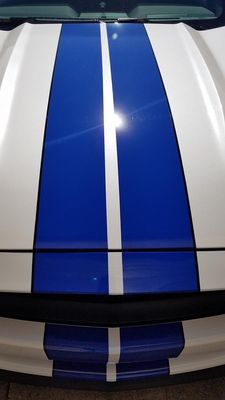 Blå Stripes - Premium