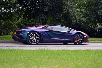 Avery Gloss Rushing Riptide Cyan & Purple