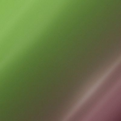 ORACAL 970GRA - 317 AVOCADO