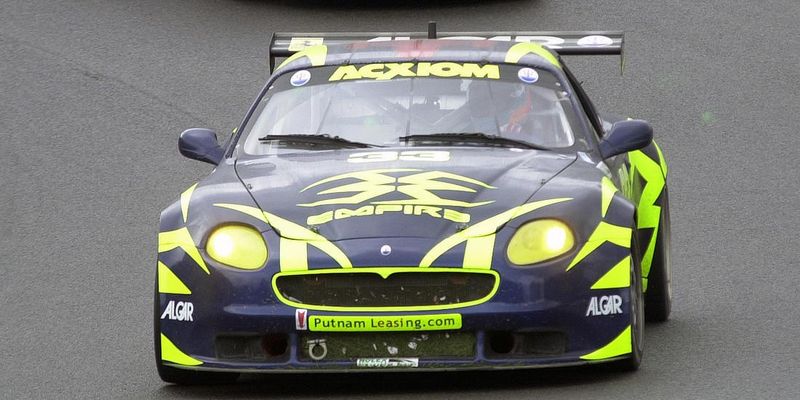 Neon Gul Stripes - Premium