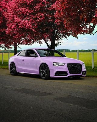 TeckWrap CG48-HD Spanish Lavender