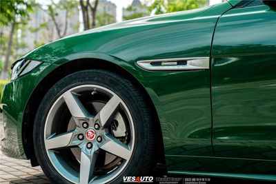 TeckWrap CG32-HD Amphibian Green