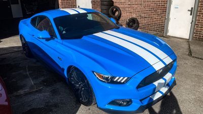 Vit Stripes - Premium
