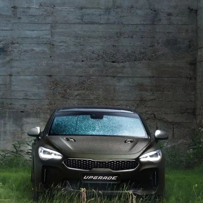 TeckWrap SMT01 Mineral Grey (Khaki Gold)