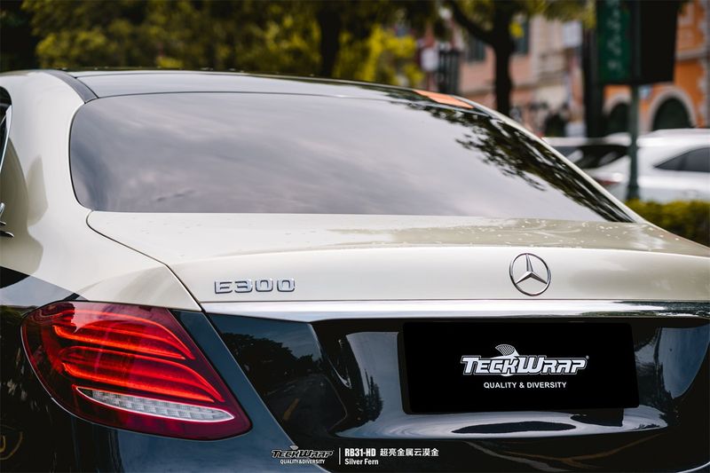 TeckWrap RB31-HD Silver Fern