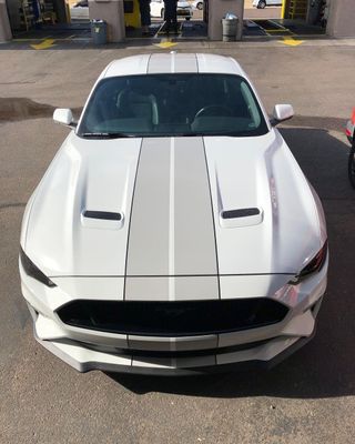 Ljusgrå Stripes - Premium
