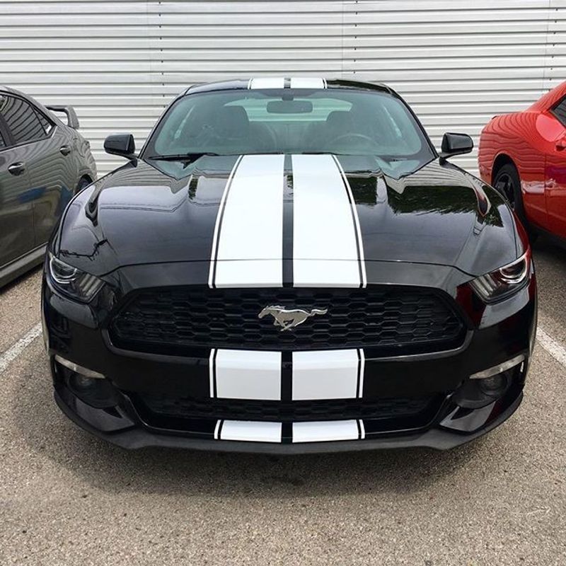 Vit Stripes - Premium
