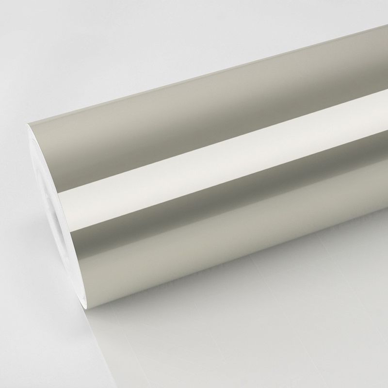 TeckWrap RB31-HD Silver Fern