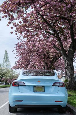Avery Gloss Sea-Breeze Blue