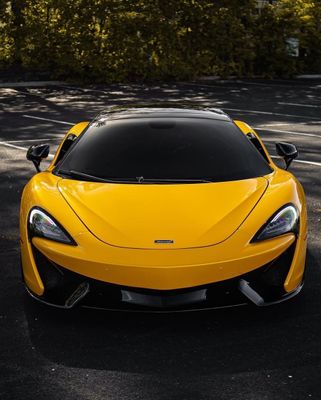 TeckWrap CG12-HD Sunflower Yellow