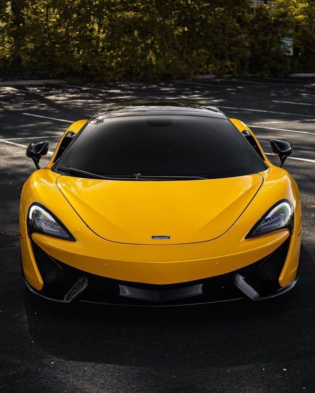 TeckWrap CG12-HD Sunflower Yellow
