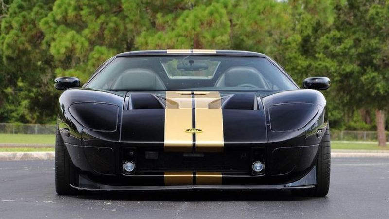 Guld Stripes - Premium
