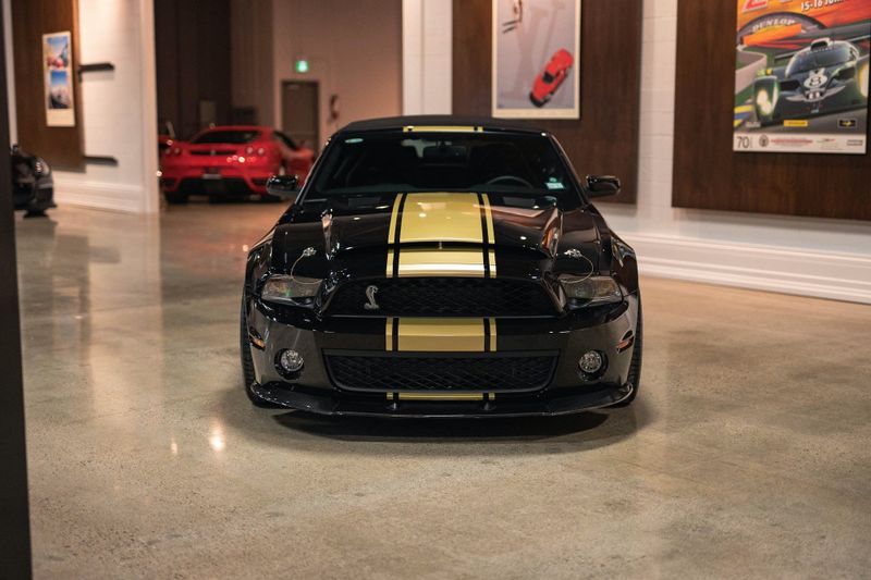 Guld Stripes - Premium