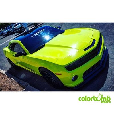 Avery Gloss Lime Green