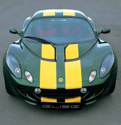 Gul Stripes - Premium