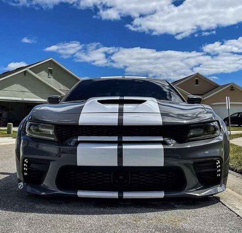 Ljusgrå Stripes - Premium