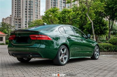 TeckWrap CG32-HD Amphibian Green