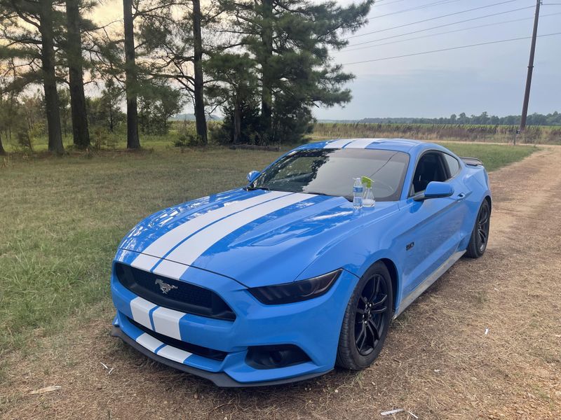 Vit Stripes - Premium