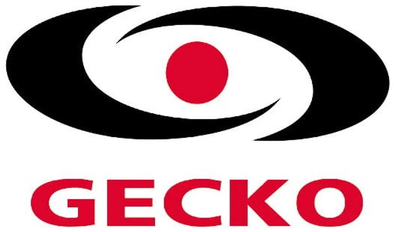 Gecko SSPA (2 vattenpumpar + luftpump)