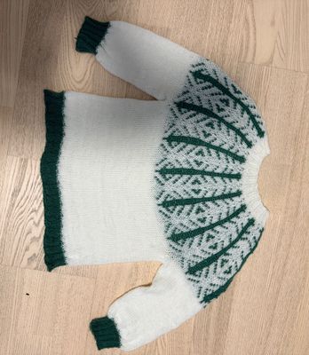 Tröja i ull/nylon till 12-18 mån