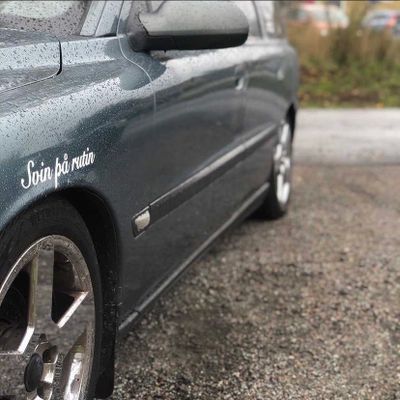 Dekal - Svin på rutin