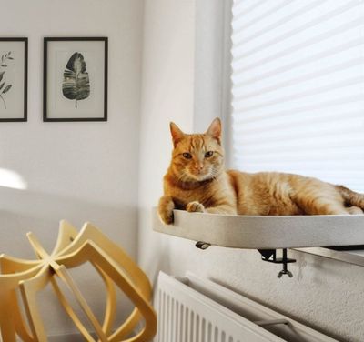 Kattsäng fönsterbräda Kyo grå