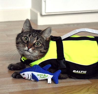 Flytväst Maja för katt Baltic, 0-3 kg