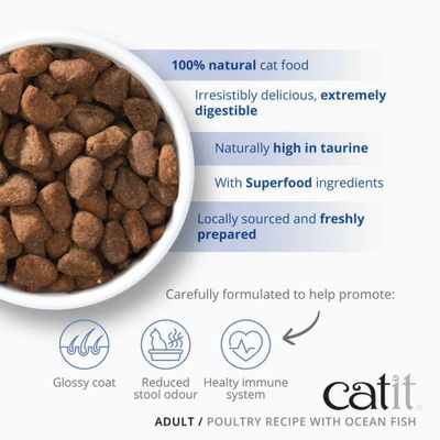 CatIt Adult Fish 2 kg