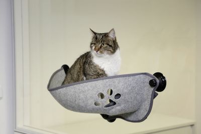 Fönsterhammock Sunbed Filzino