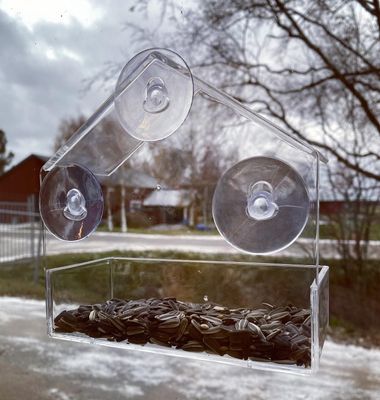 Katt-TV, fågelmatare fönster