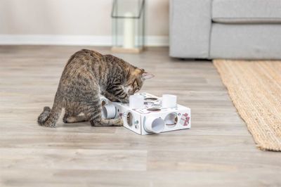 Cat Activity Paws'n'Treats Box