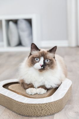 Klösbräda cardboard ljusgrå/randig