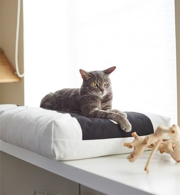 PADI modern catbed vit