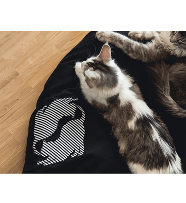 EMI modern catbed black