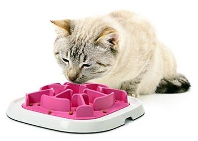 Pet Enigma aktiveringsbräda rosa