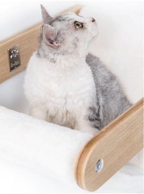 Katthylla hängmatta Lazy Oak