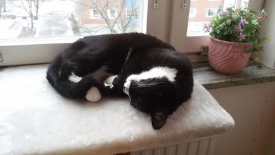 Sovplats fönsterbräda vit