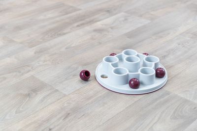 Cat Activity Pentagon