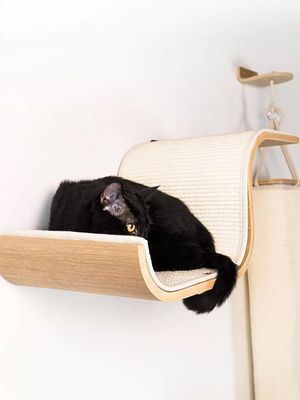 Katthylla Scratch Oak