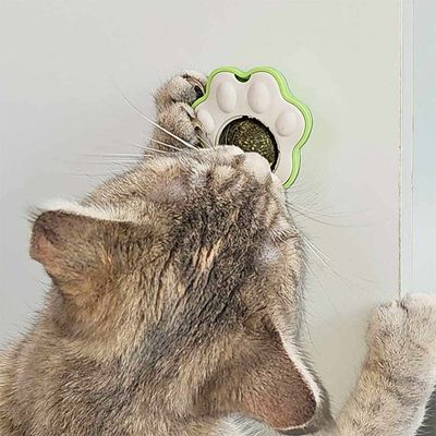 Catnip ball Paw