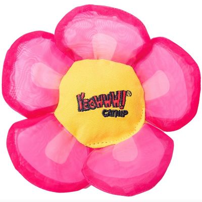 Yeowww Flower stark kattmynta Rosa
